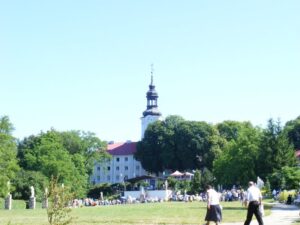3-jpg_large (7)