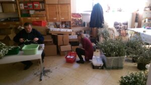 imag1022_large
